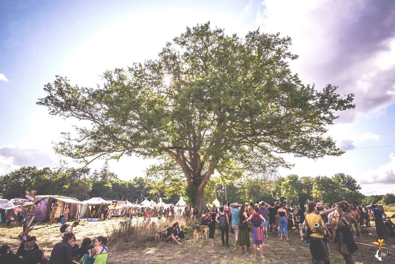 L'arbre qui marche